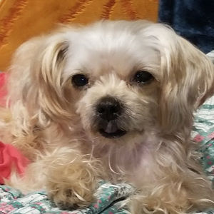 Meet your Posher, Ruby